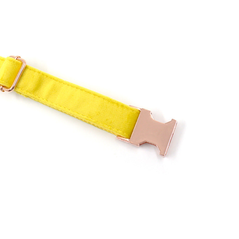 Velvet Dog Collar - Yellow