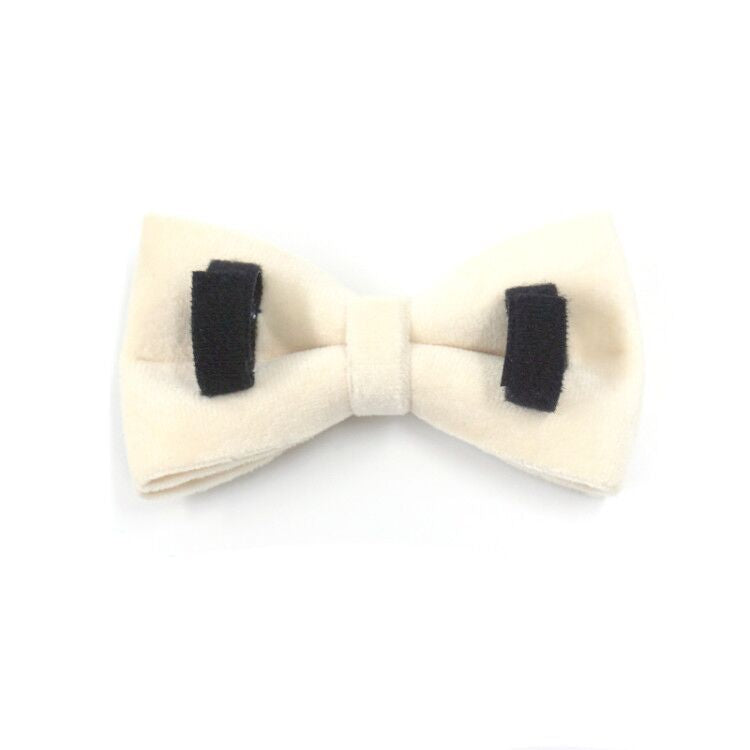 Velvet Dog Bow Tie - Creamy White