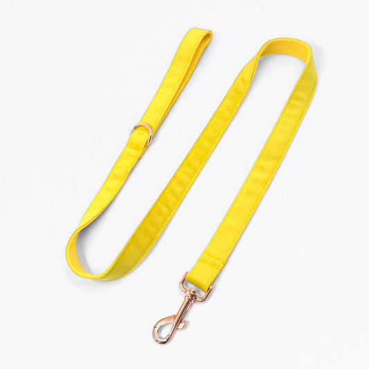 Yellow Velvet Dog Leash